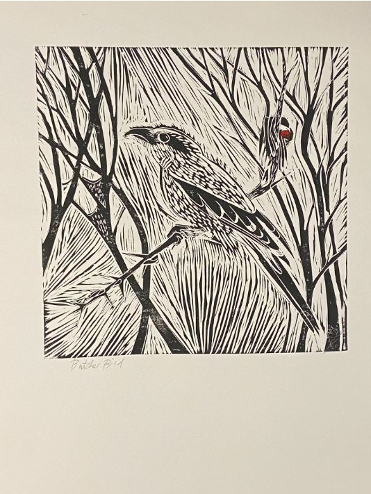 Butcherbird 1